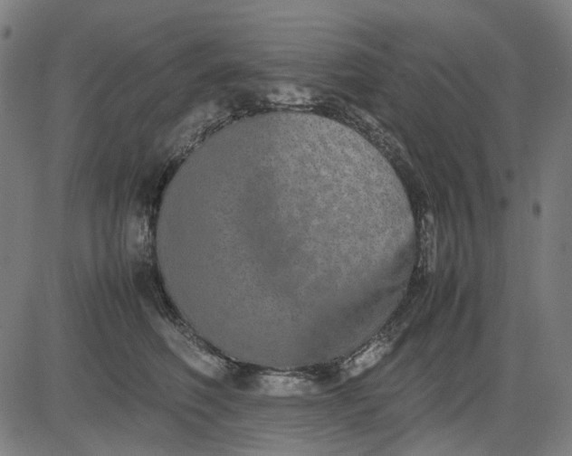 X0000082700614200702091724