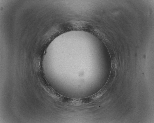 X0000082700615200702091724