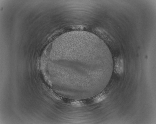 X0000082700616200702091724