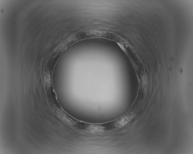 X0000082700617200702091724