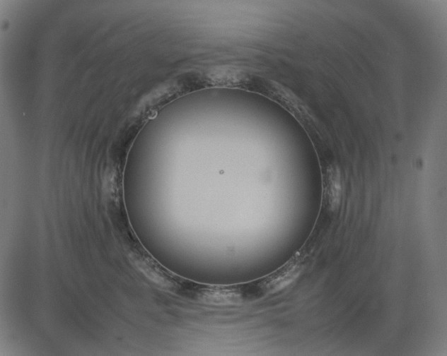 X0000082700619200702091724