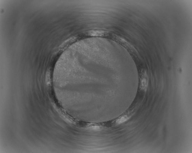 X0000082700620200702091724