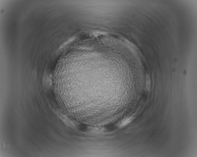 X0000082700621200702091724