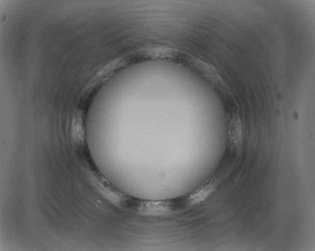 X0000082700622200702091724