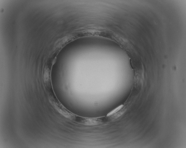 X0000082700623200702091724