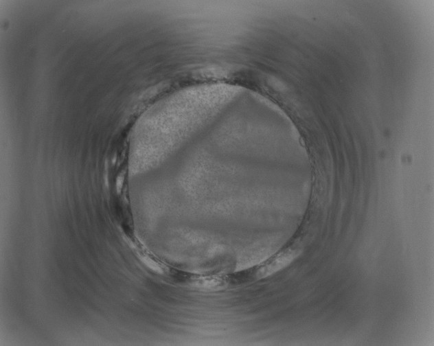 X0000082700624200702091724