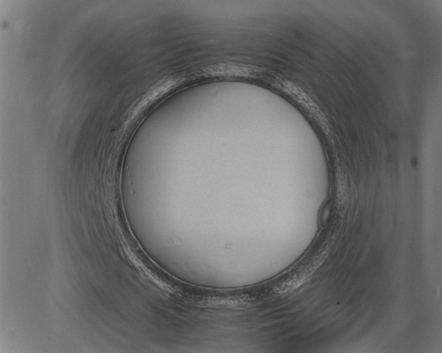 X0000082700625200702091723