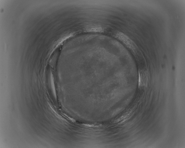 X0000082700627200702091723