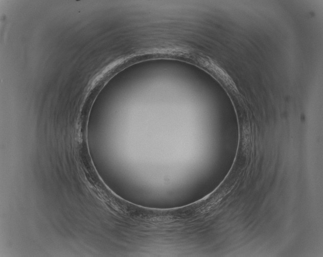 X0000082700628200702091723