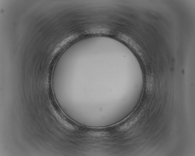 X0000082700629200702091723