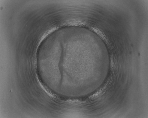 X0000082700630200702091723