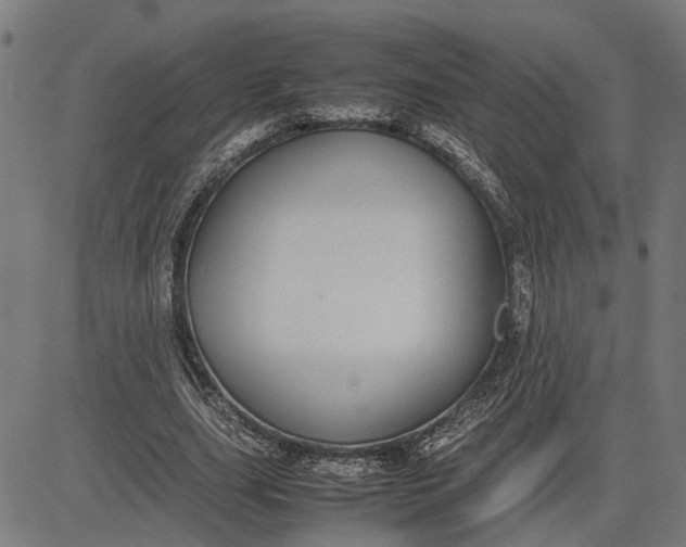 X0000082700631200702091723