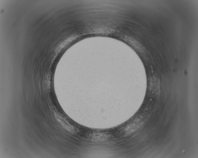 X0000082700632200702091723