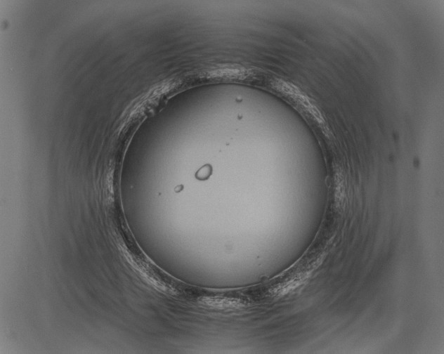 X0000082700633200702091723