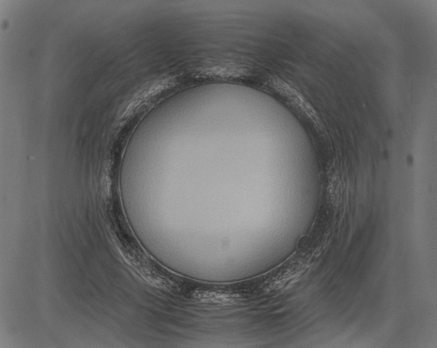 X0000082700635200702091723