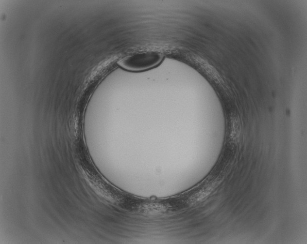 X0000082700636200702091723