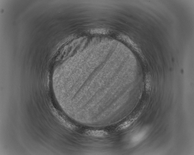 X0000082700637200702091723