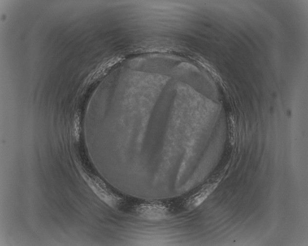 X0000082700644200702091723