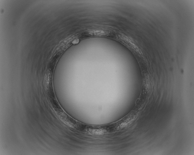 X0000082700645200702091723