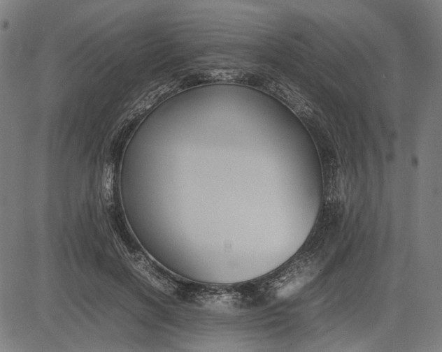 X0000082700646200702091723