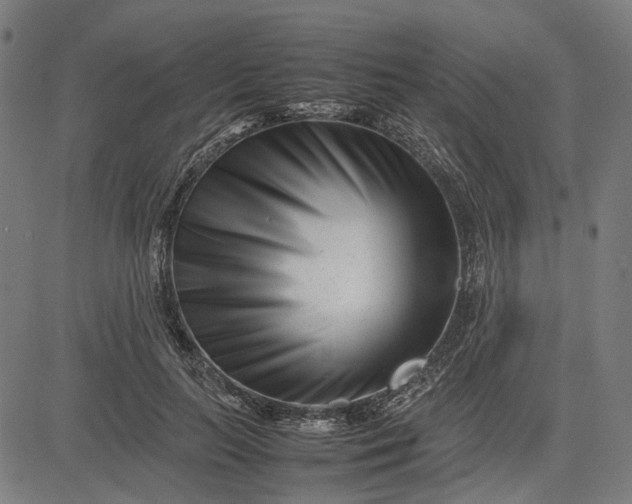 X0000082700647200702091723