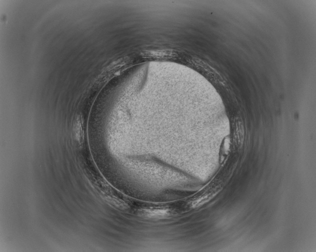 X0000082700651200702091724