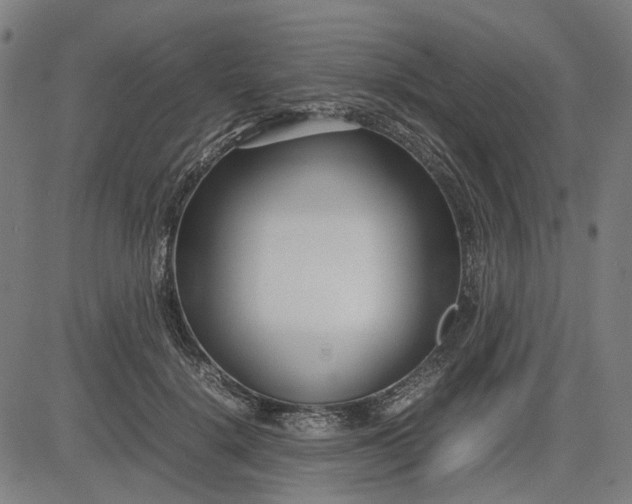 X0000082700652200702091724