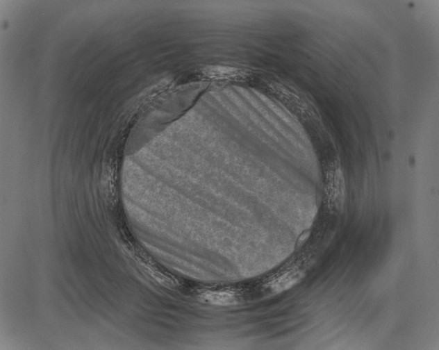 X0000082700653200702091724