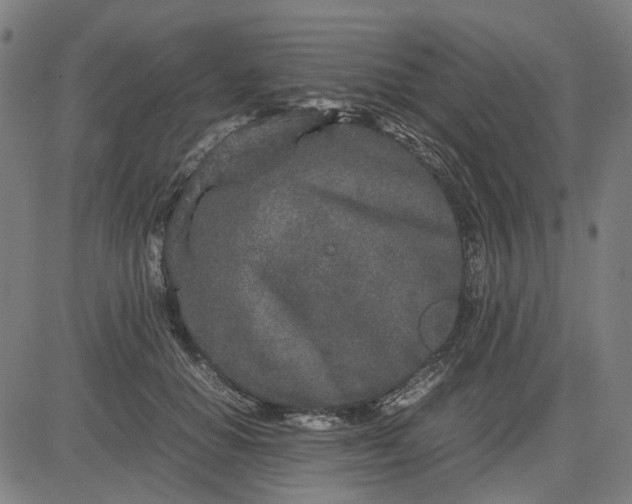 X0000082700654200702091724