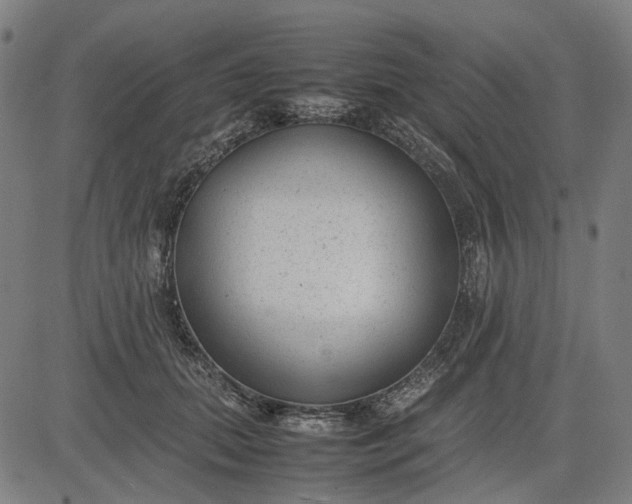 X0000082700655200702091724