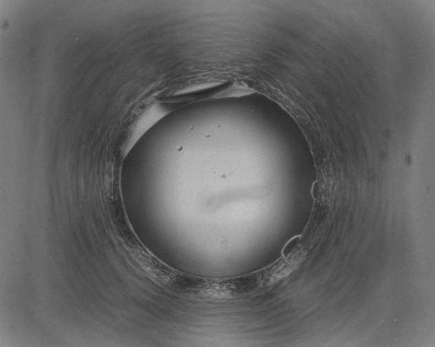 X0000082700656200702091724