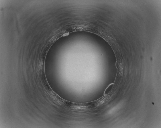 X0000082700657200702091724