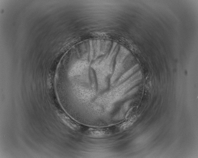 X0000082700658200702091724