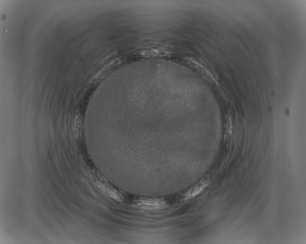 X0000082700659200702091724