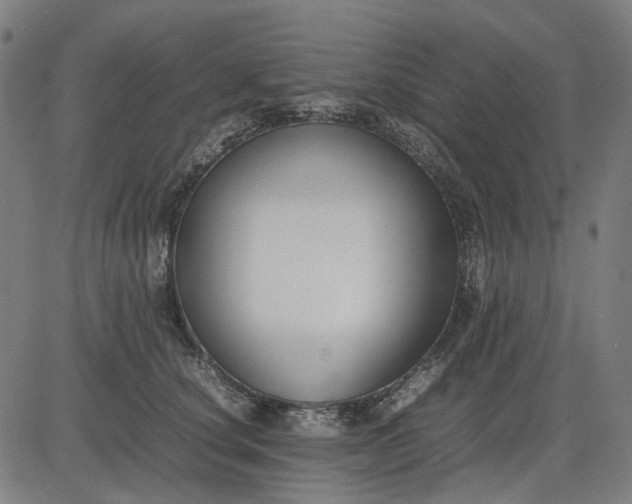 X0000082700660200702091724