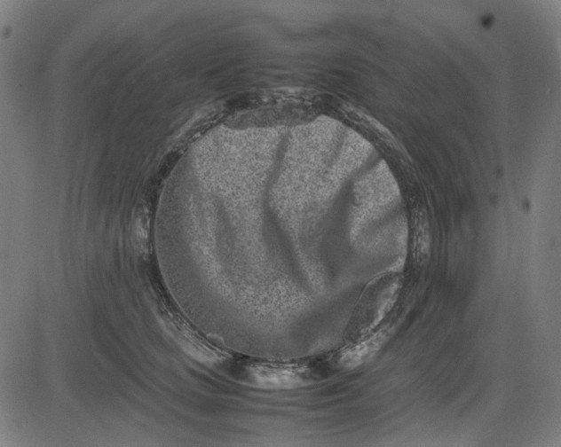 X0000082700661200702091724