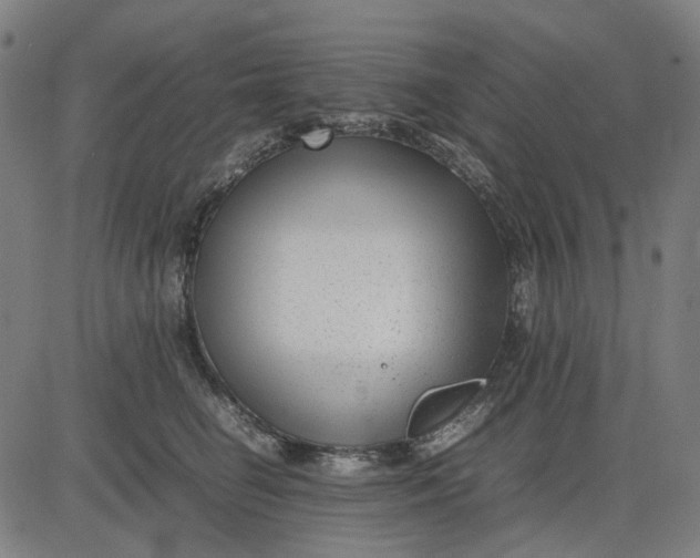 X0000082700662200702091724