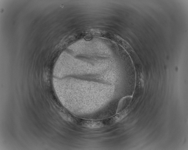 X0000082700663200702091724