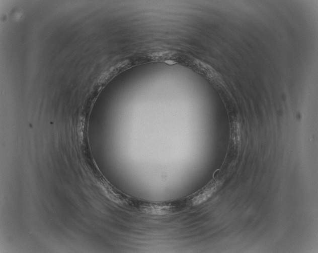 X0000082700664200702091724