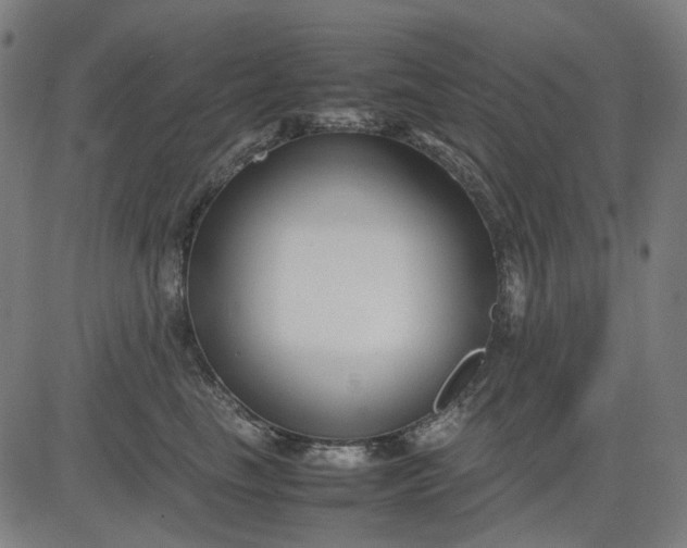 X0000082700665200702091724