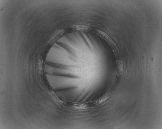 X0000082700667200702091724