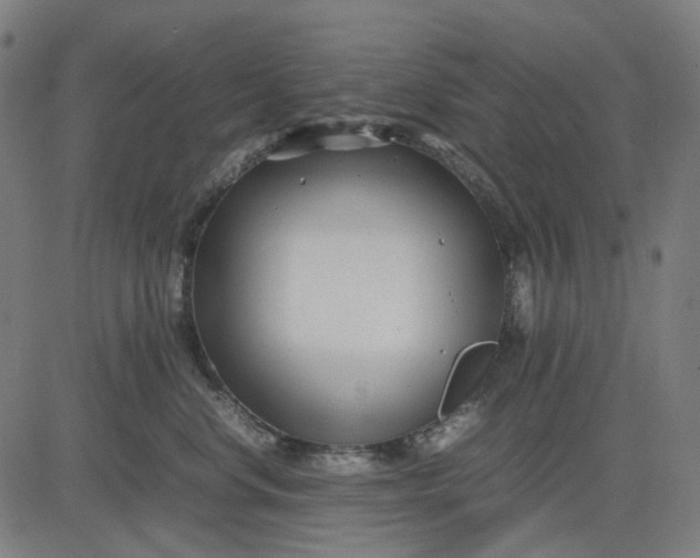 X0000082700668200702091724