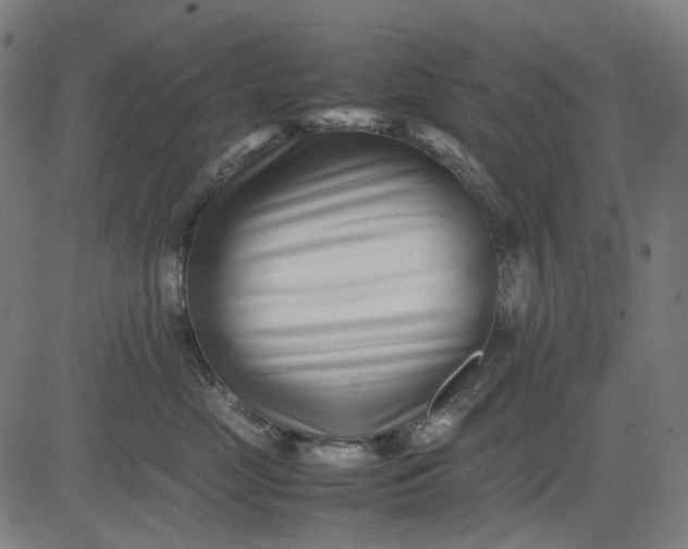 X0000082700669200702091724