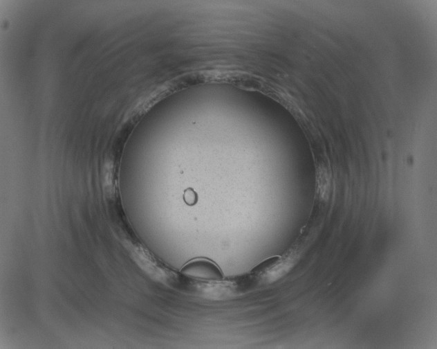 X0000082700670200702091724