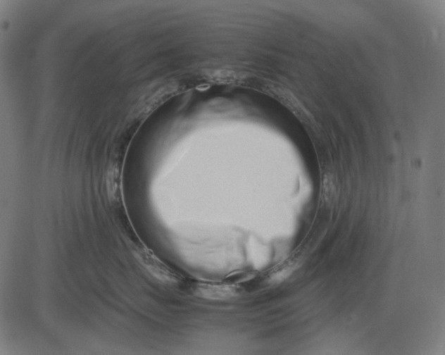 X0000082700671200702091724