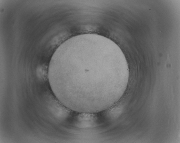 X0000082700672200702091724