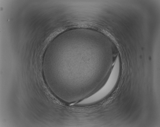 X0000082700673200702091723