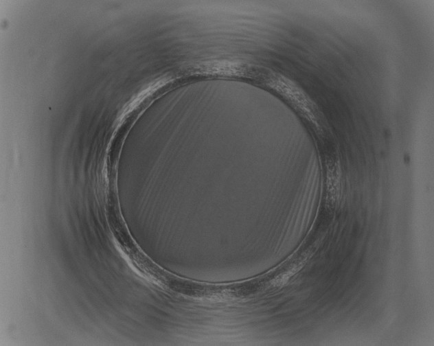 X0000082700674200702091723