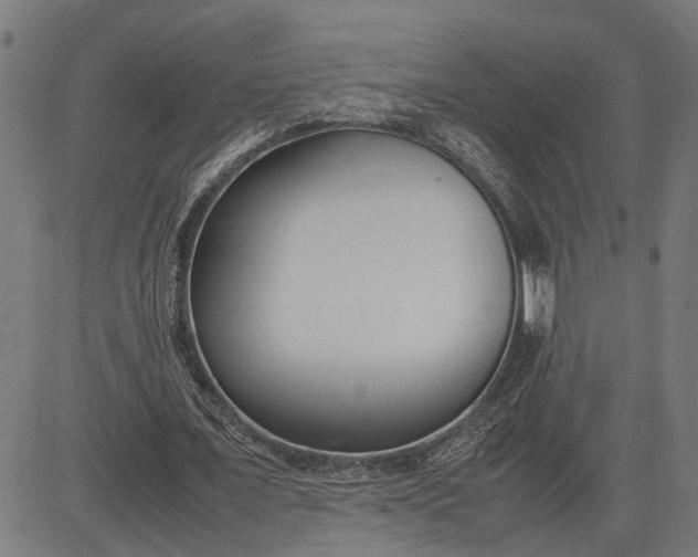 X0000082700675200702091723