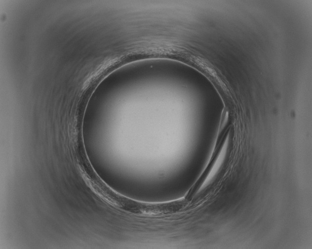 X0000082700677200702091723